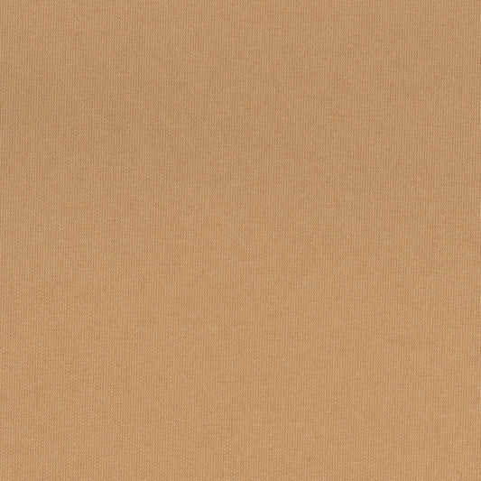 60" Coated Polyester Indoor Fabric (10 oz)